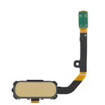 Galaxy S7 Active Home Button Flex Cable (GOLD)