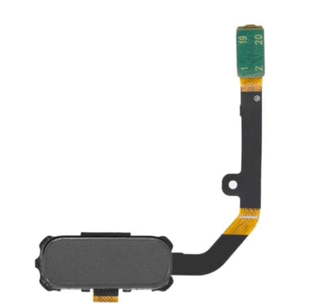 Galaxy S7 Active Home Button Flex Cable (GRAY)